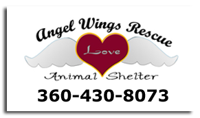 AngelWingsLogowebsite